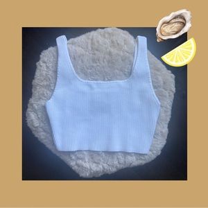 Aritzia Crop Sculpt Knit Tank, White